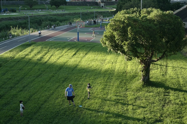 Dorskal84vento kép5